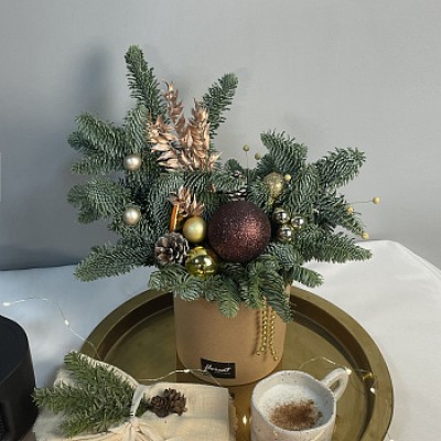 Зимняя композиция Брауни S